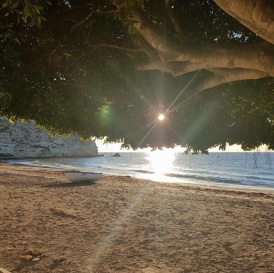 阿瓜阿马加Casa Barbados En Agua Amarga公寓 外观 照片